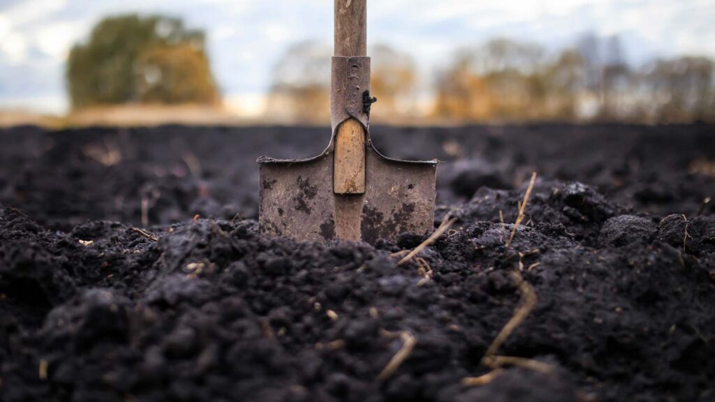 shovel standing in dirt