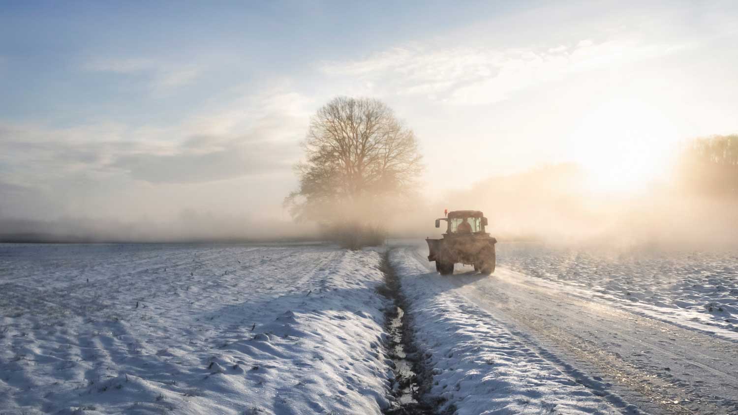 AdobeStock_230677251_web