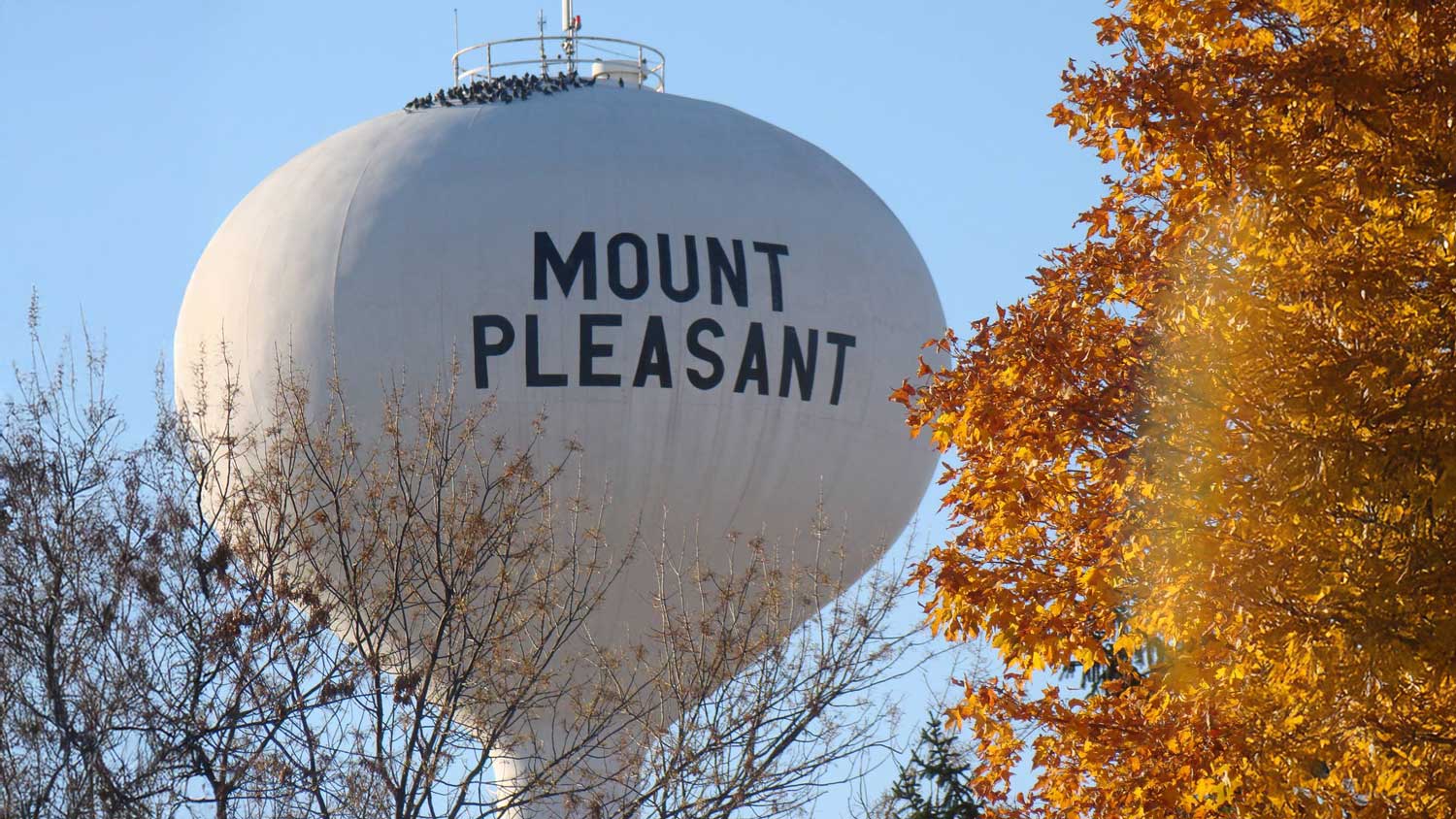 partnershipwithpurpose_07_web