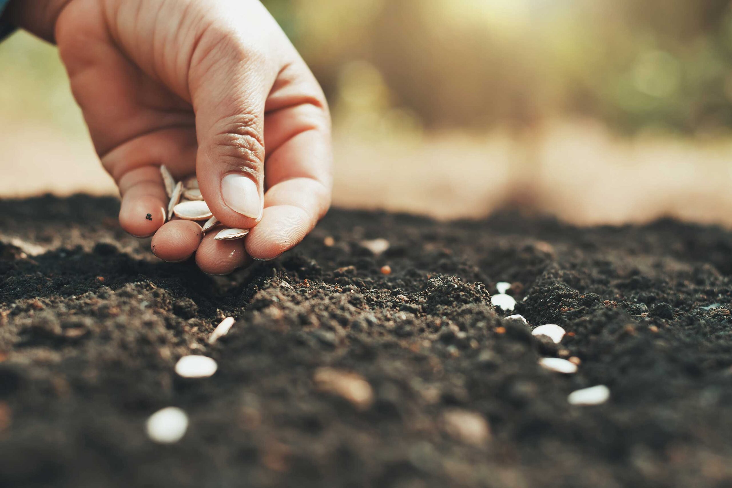 AdobeStock_242778283_web